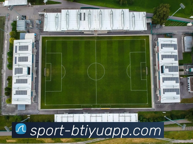 B体育平台生态图